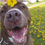 WhatsApp Image 2025-03-06 at 6.29.58 PM