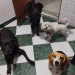 WhatsApp Image 2025-03-06 at 6.30.08 PM