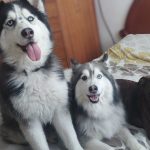 WhatsApp Image 2025-03-06 at 6.42.19 PM